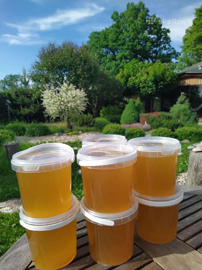 Ekologiškas Aukštaitijos medus ir spiečiai - nuotraukos Nr. 3