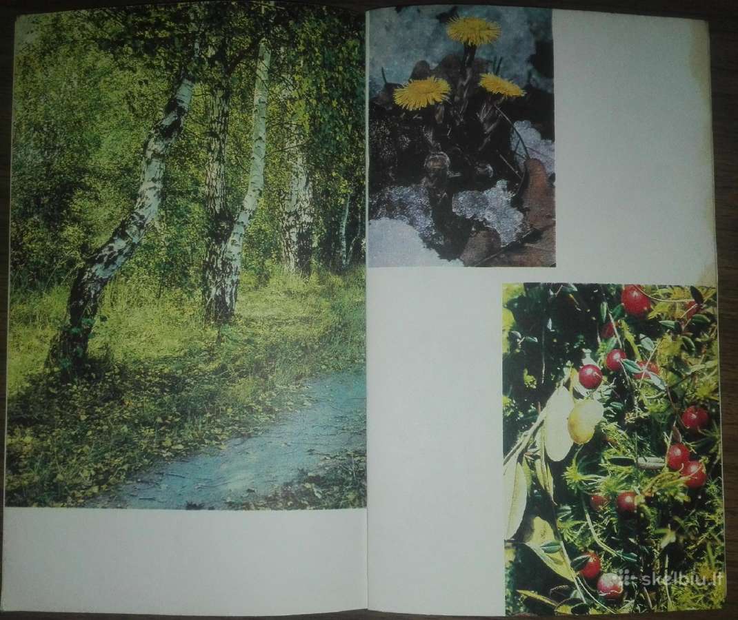 1943. Erzahlungen Über Die Natur (рассказы О Приро - nuotraukos Nr. 7