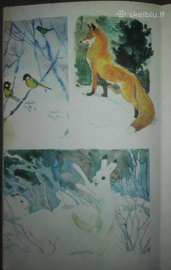 1943. Erzahlungen Über Die Natur (рассказы О Приро - nuotraukos Nr. 8