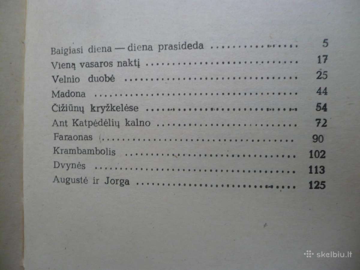 A. Baltrūnas - Ant katpėdėlių kalno - nuotraukos Nr. 2