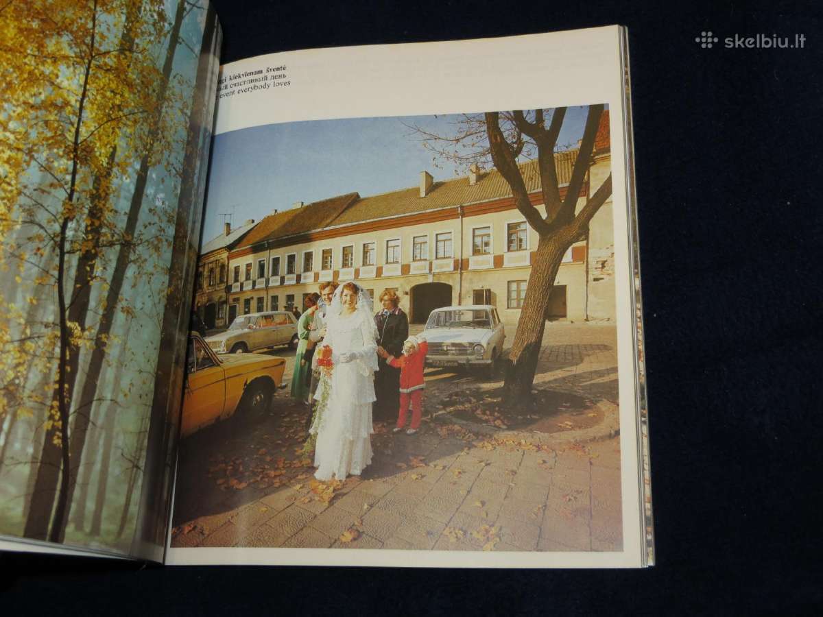 Knyga Lietuva iš paukščio skrydžio A. Sutkus 1981 - nuotraukos Nr. 8