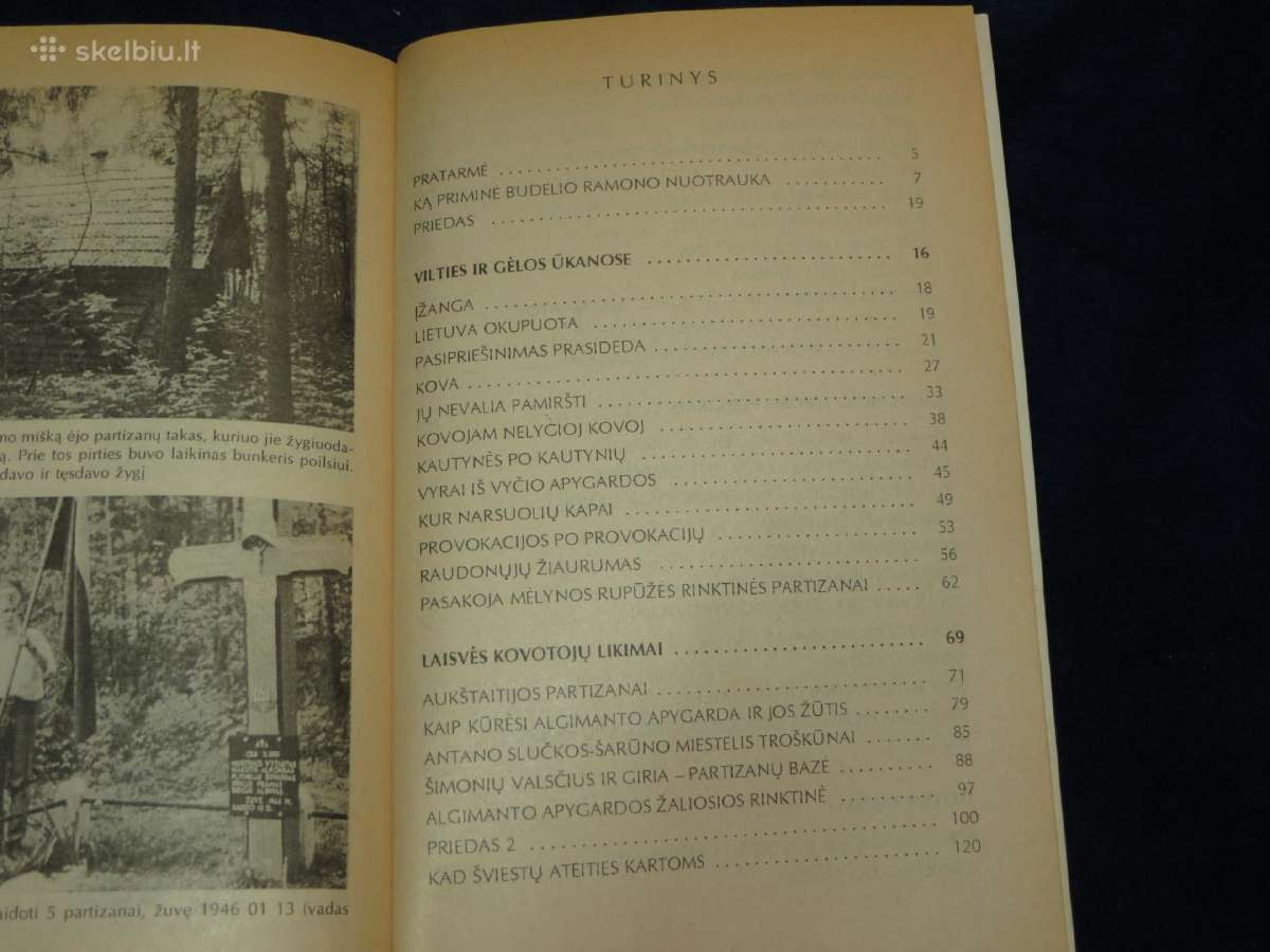 Knyga Kovoje dėl Lietuvos laisvės A. Šimėnas 1998 - nuotraukos Nr. 17