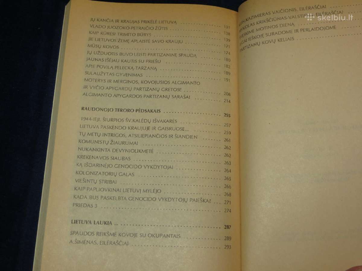 Knyga Kovoje dėl Lietuvos laisvės A. Šimėnas 1998 - nuotraukos Nr. 18