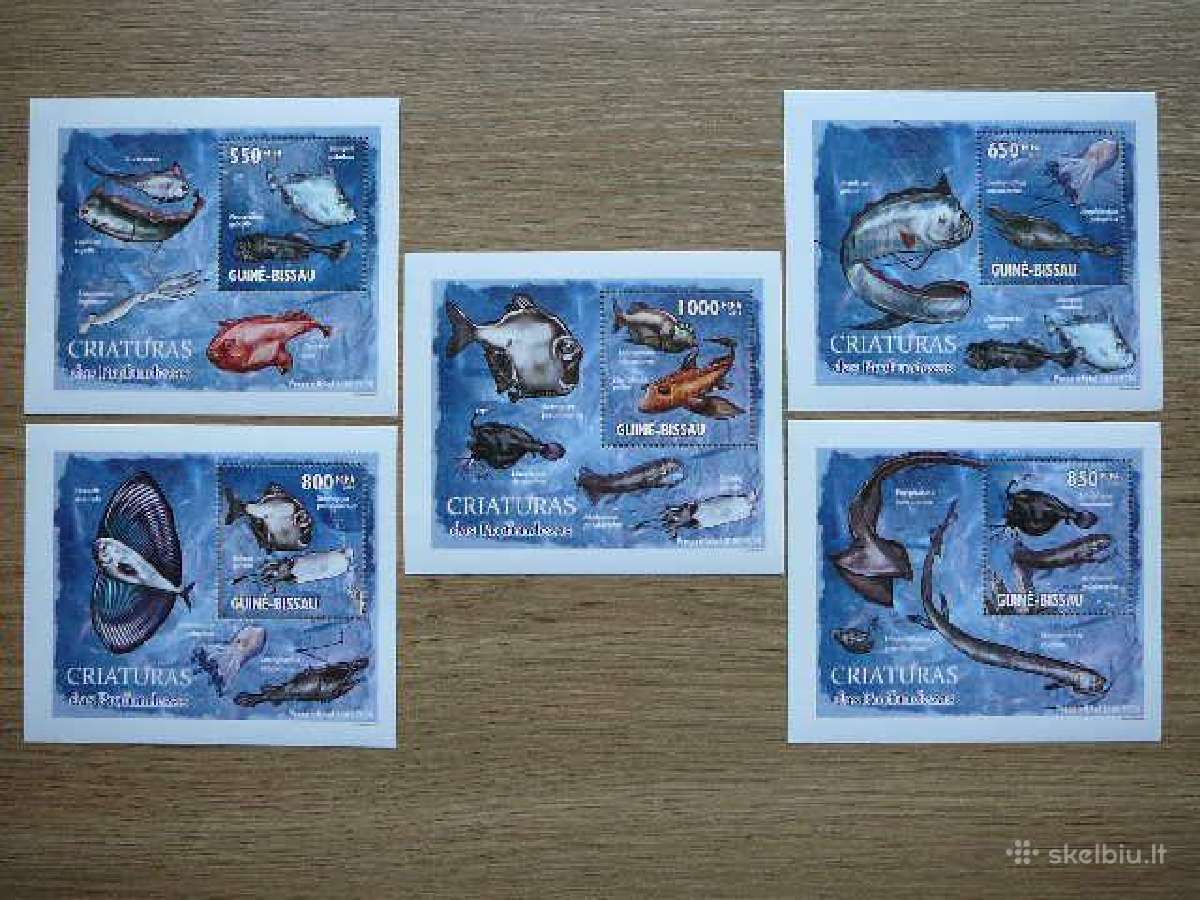 Zuvys Gvineja Bisau 2010 svarus gvb297