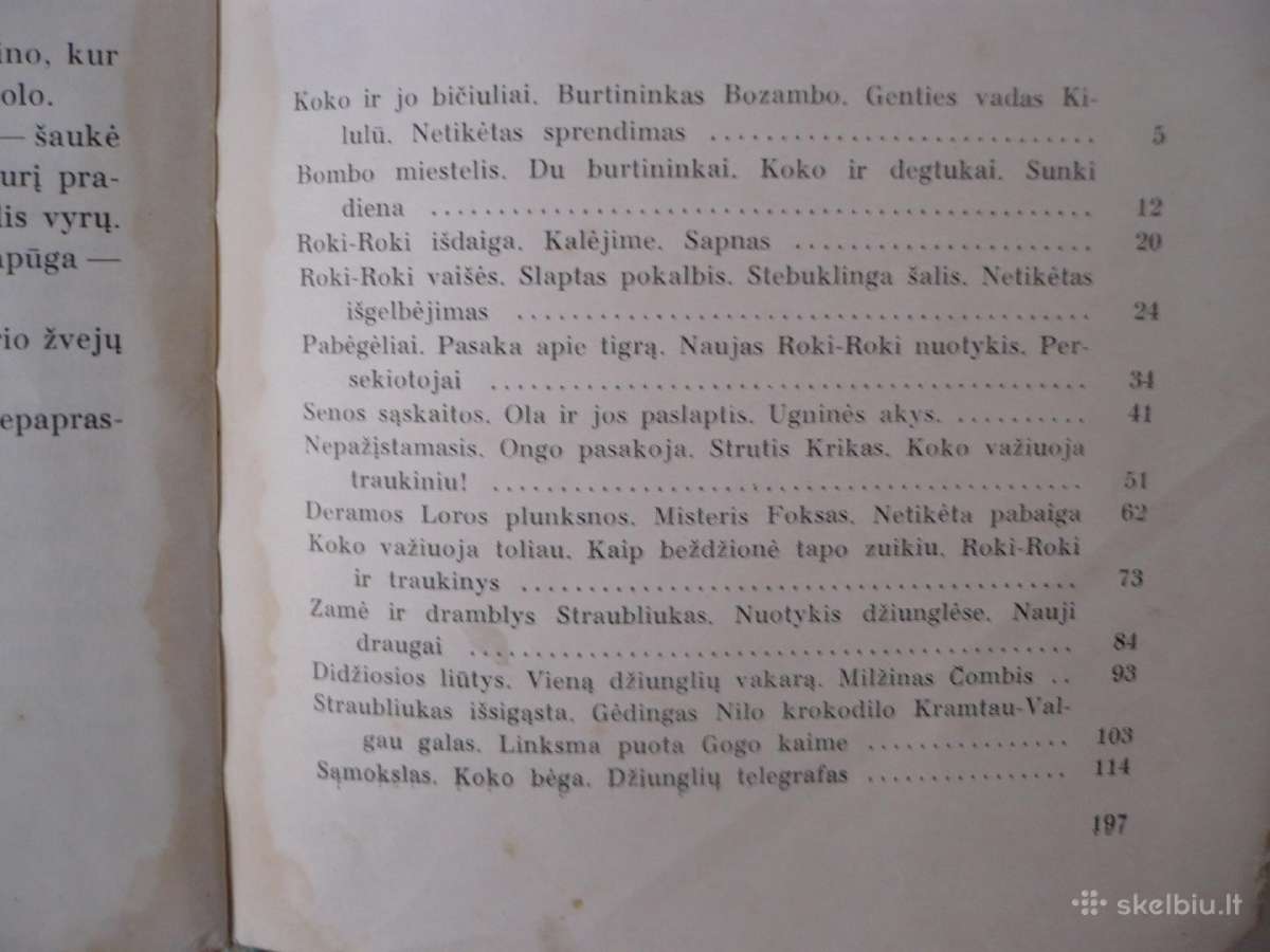 V. Misevičius - Nepaprasti Koko nuotykiai - nuotraukos Nr. 3