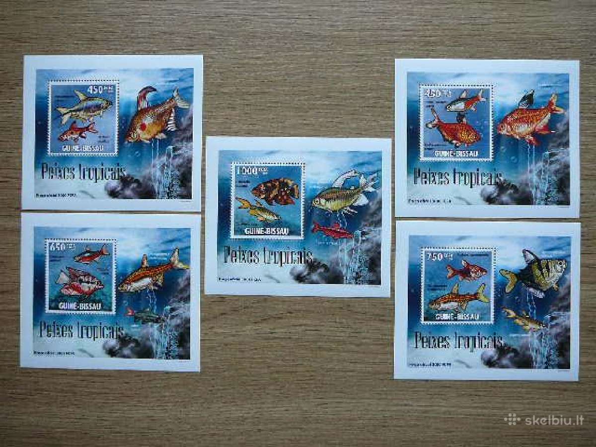 Zuvys Gvineja Bisau 2009 svarus gvb296