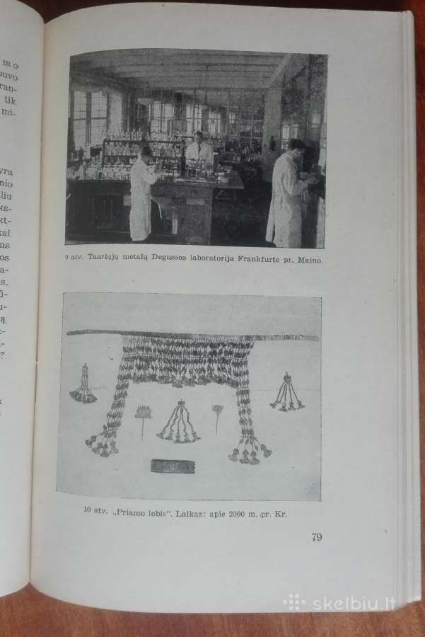 1955. Auksas E. Schujtze - nuotraukos Nr. 5
