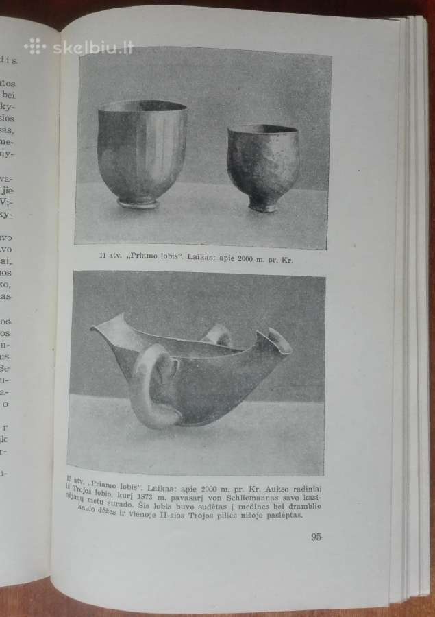 1955. Auksas E. Schujtze - nuotraukos Nr. 6