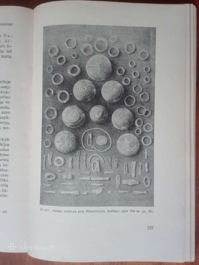 1955. Auksas E. Schujtze - nuotraukos Nr. 7