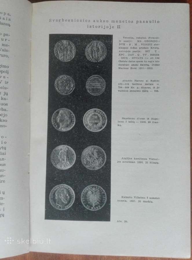 1955. Auksas E. Schujtze - nuotraukos Nr. 11