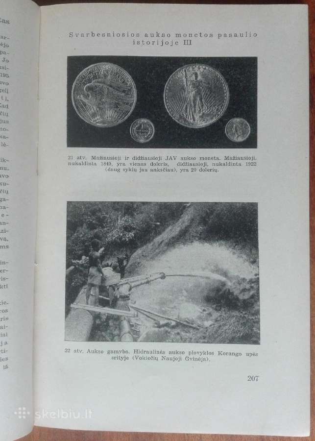 1955. Auksas E. Schujtze - nuotraukos Nr. 12