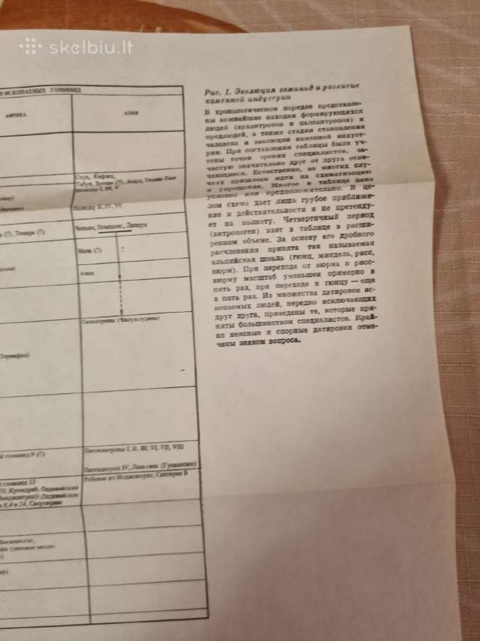 Pirmykštės visuomenės istorija - nuotraukos Nr. 7