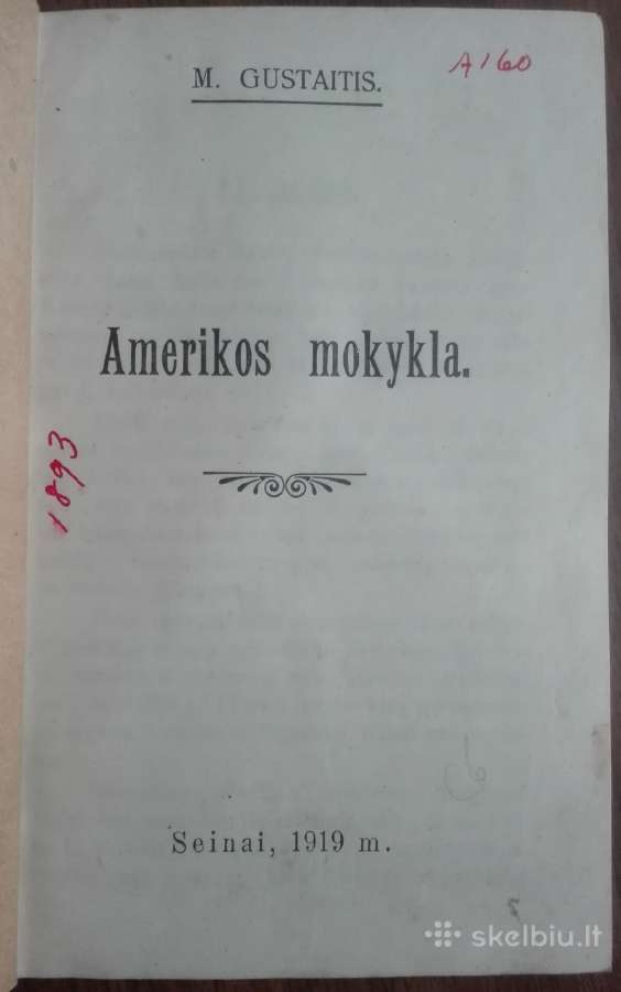 1892. Amerikos Mokykla M.gustaitis Seinai 1919 m. - nuotraukos Nr. 11