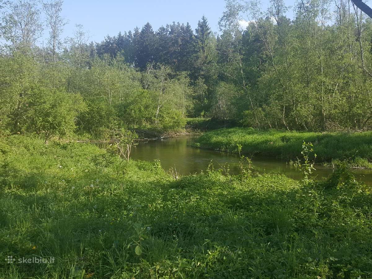 Ant Vyžuonos upės kranto, 7,56ha sklypas - nuotraukos Nr. 4