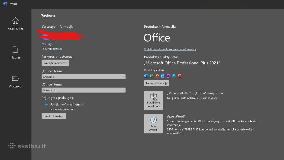 Originalūs Microsoft Office 2021/2024 Professional - nuotraukos Nr. 4