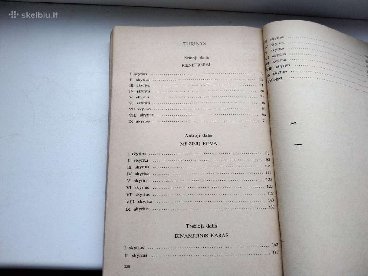 Robino Hudo nuotykiai,kapit Pramuštgalvis - nuotraukos Nr. 13