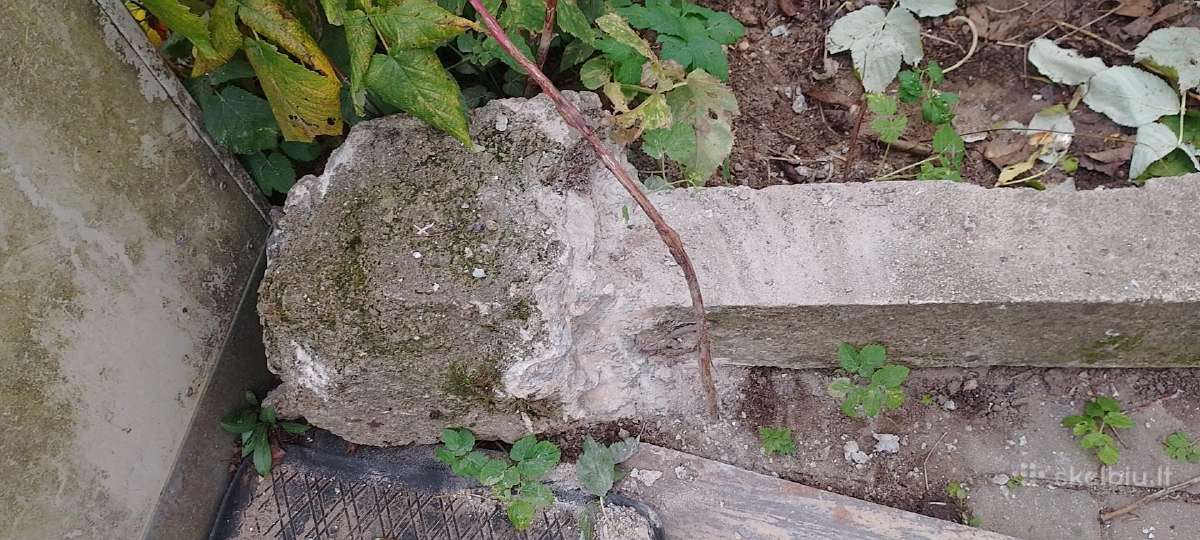 Betoninis stulpas (Dovanojamas!) - nuotraukos Nr. 2