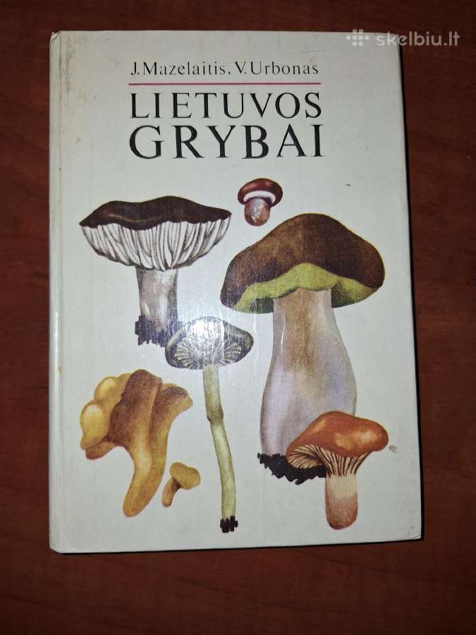 Lietuvos grybai