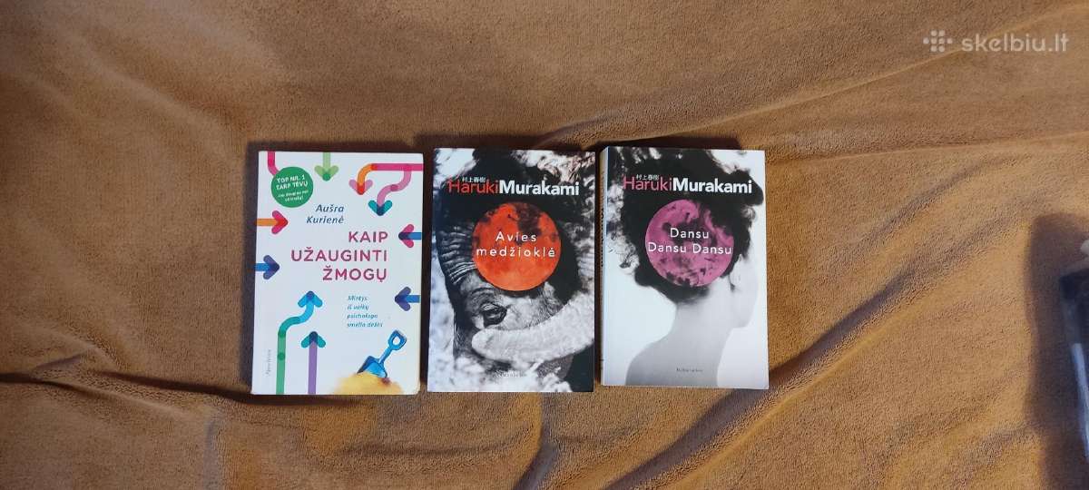 Knygos Haruki Murakami avies medziokle, Dansu