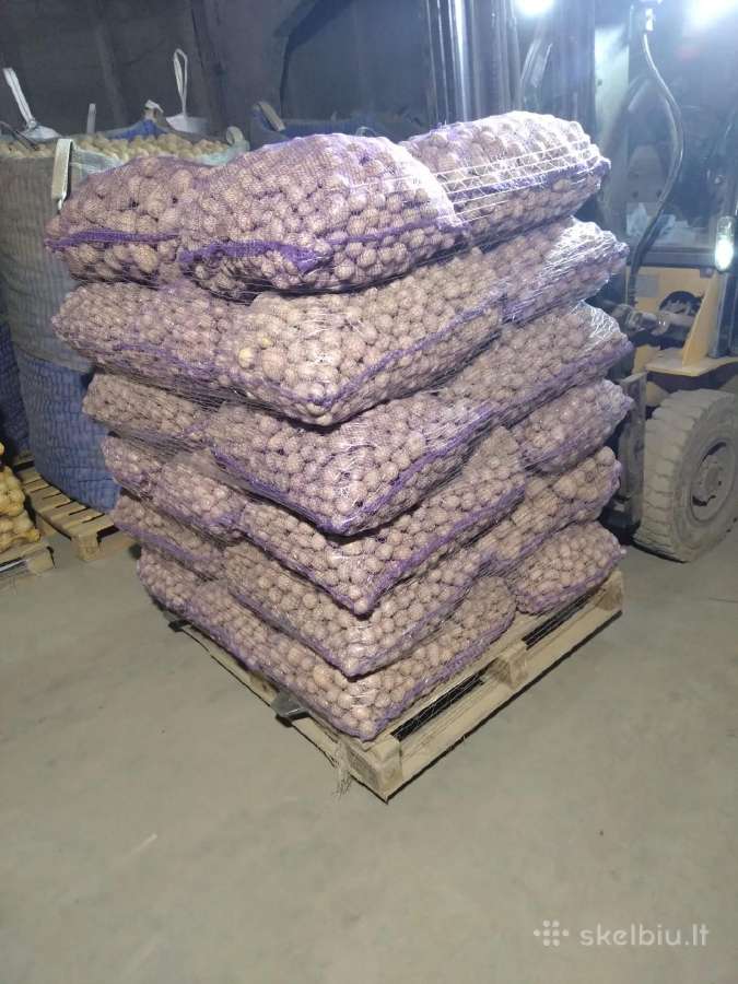 Pašarinės (nekondicinės) bulvės 0,08eur/kg - nuotraukos Nr. 3