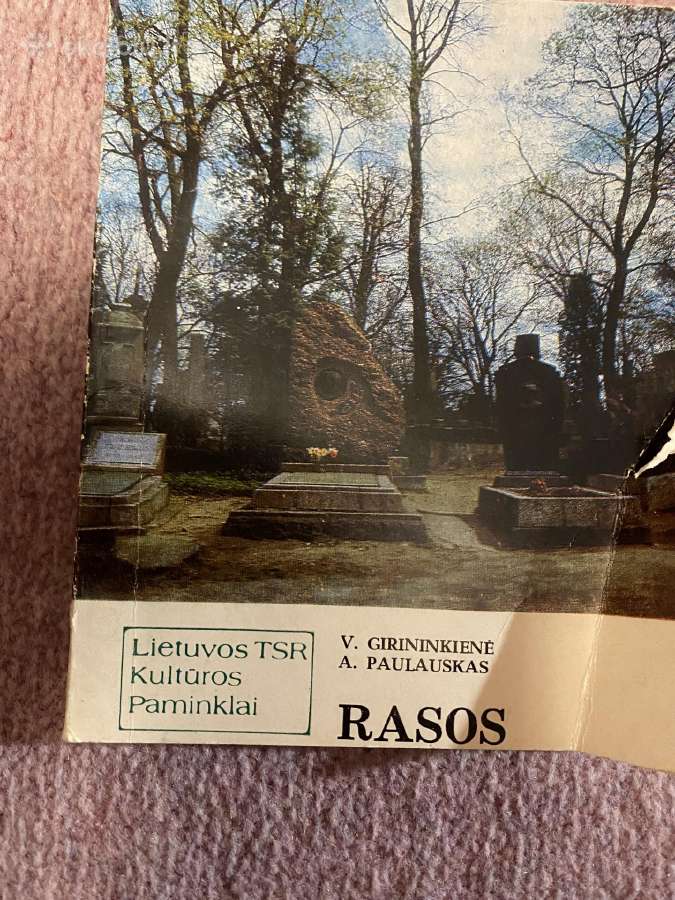 Parduodama knyga Rasos