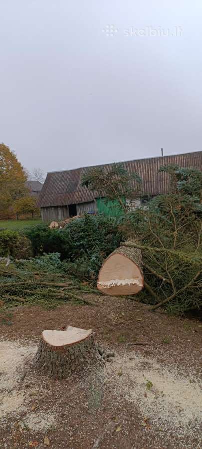Medžių pjovimas, genėjimas, žolės pjovimas - nuotraukos Nr. 18