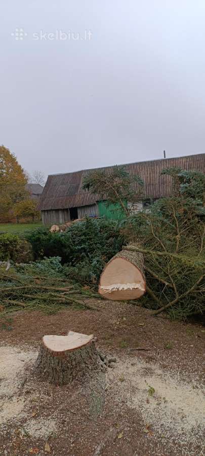 Medžių pjovimas, genėjimas, žolės pjovimas - nuotraukos Nr. 17