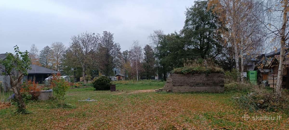 Medžių pjovimas, genėjimas, žolės pjovimas - nuotraukos Nr. 19