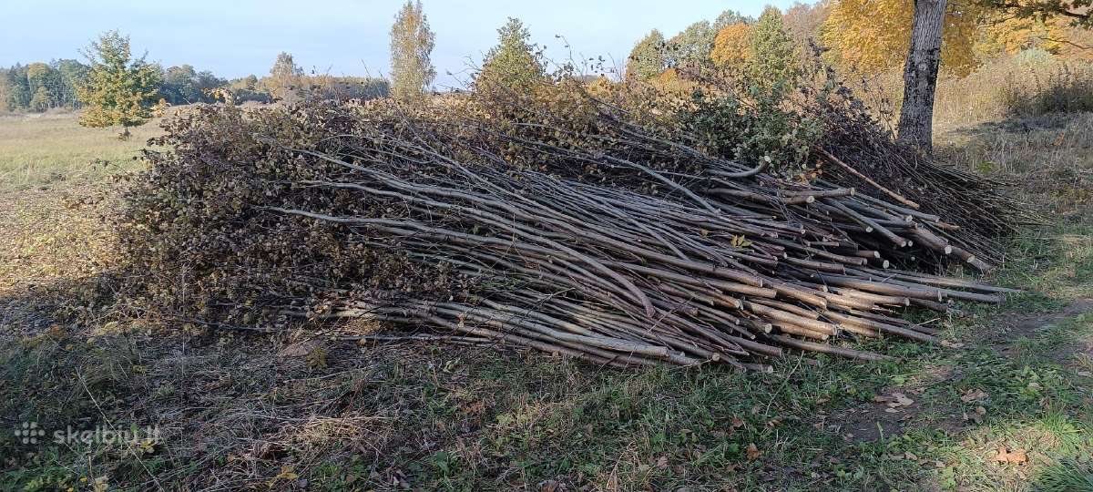 Medžių pjovimas, genėjimas, žolės pjovimas - nuotraukos Nr. 21