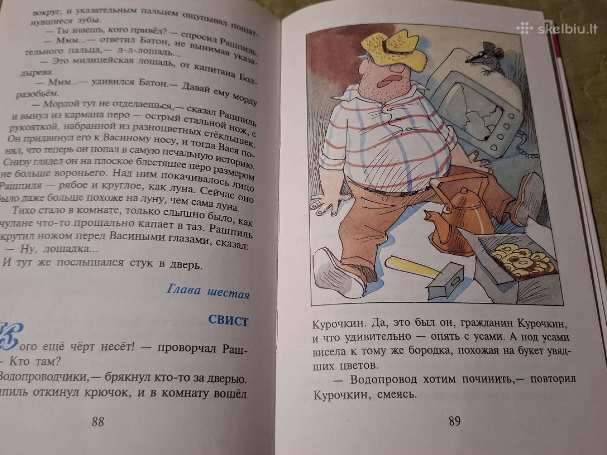 Vasios Korolesovo nuotykiai - nuotraukos Nr. 13