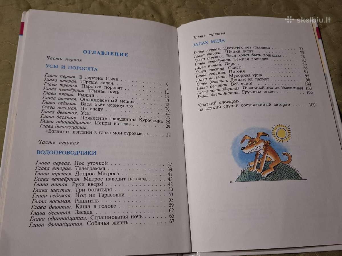 Vasios Korolesovo nuotykiai - nuotraukos Nr. 14