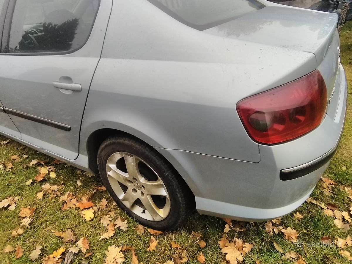 Peugeot 407 - nuotraukos Nr. 2
