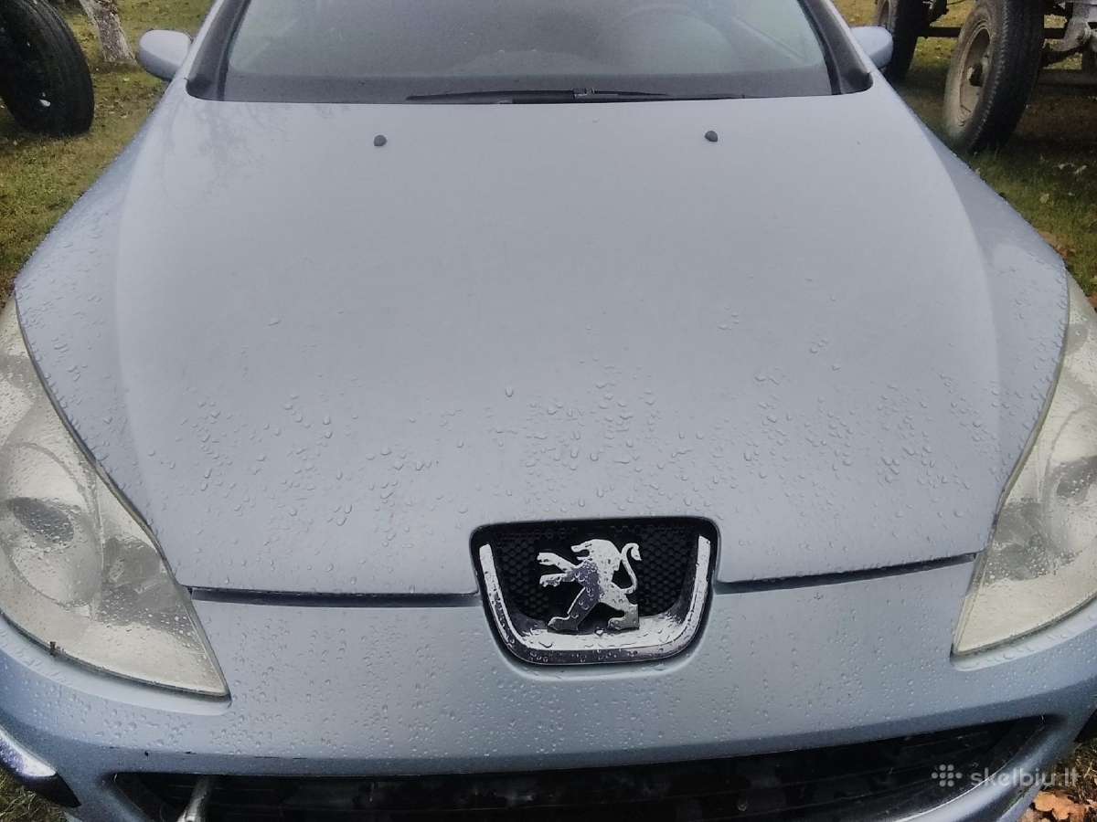 Peugeot 407