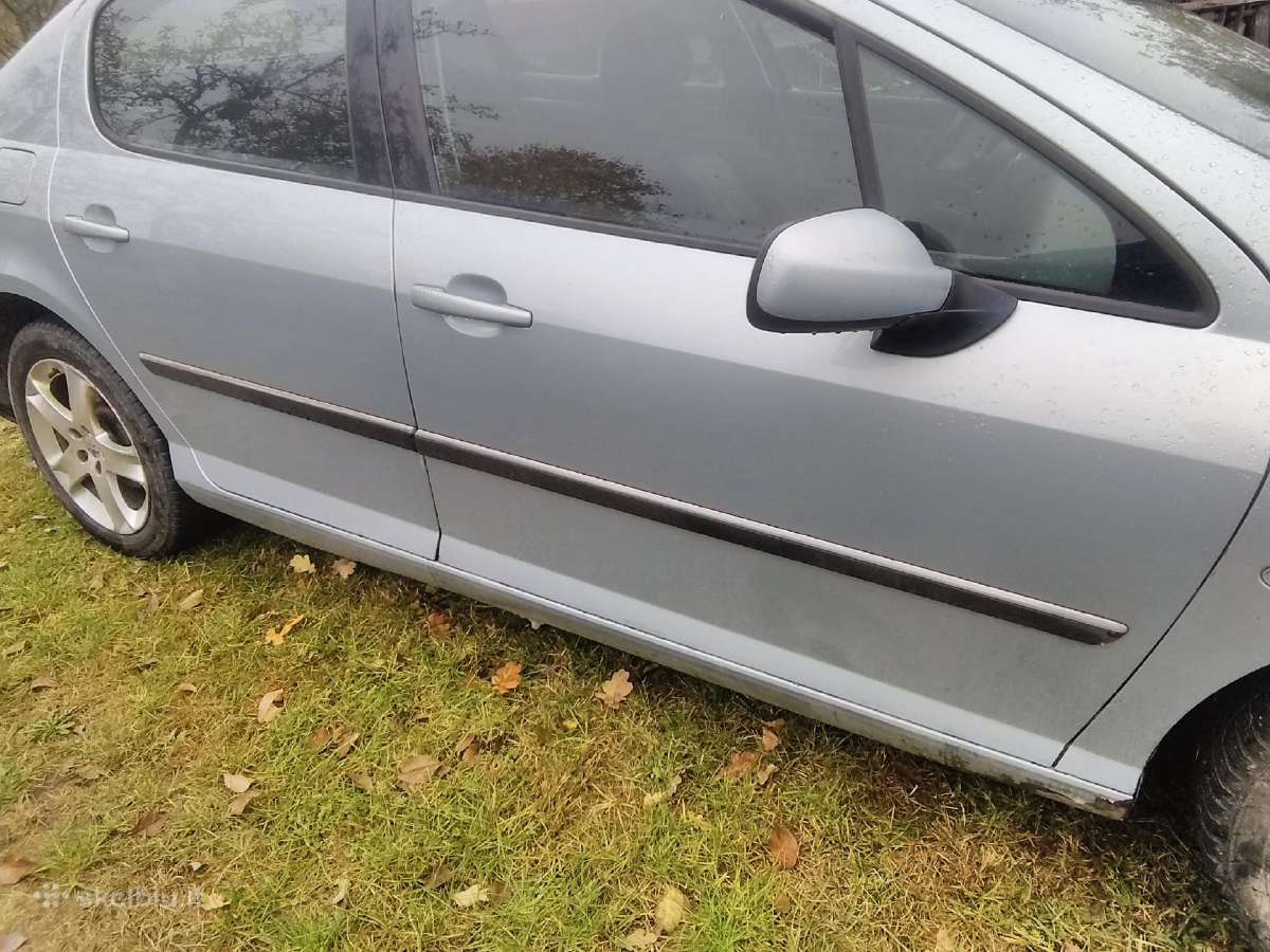 Peugeot 407 - nuotraukos Nr. 4