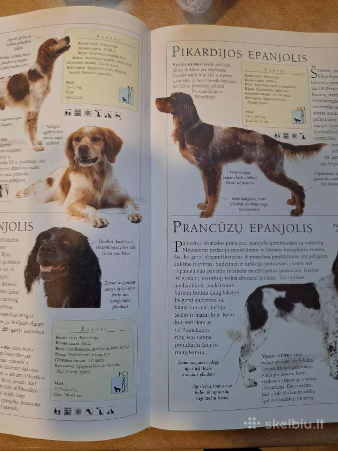 Šunys. enciklopedija Dk Serija - nuotraukos Nr. 4