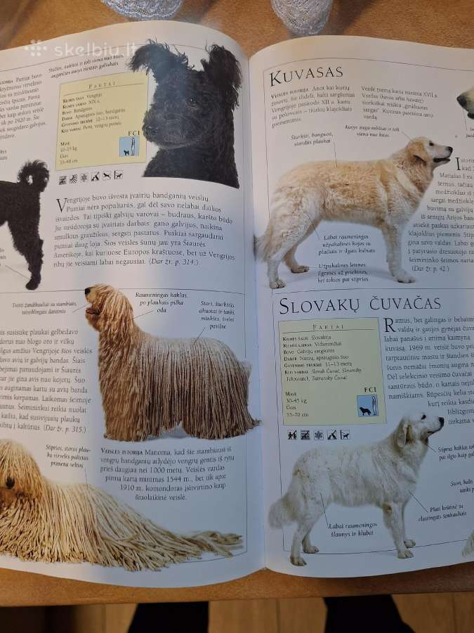 Šunys. enciklopedija Dk Serija - nuotraukos Nr. 5
