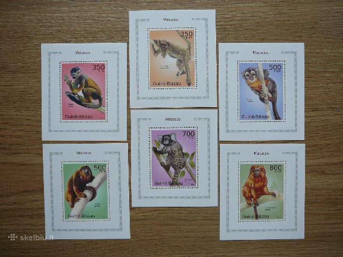 Bezdziones Gvineja Bisau 2011 Mnh gbs422