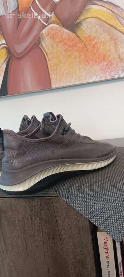 Ecco - nuotraukos Nr. 3