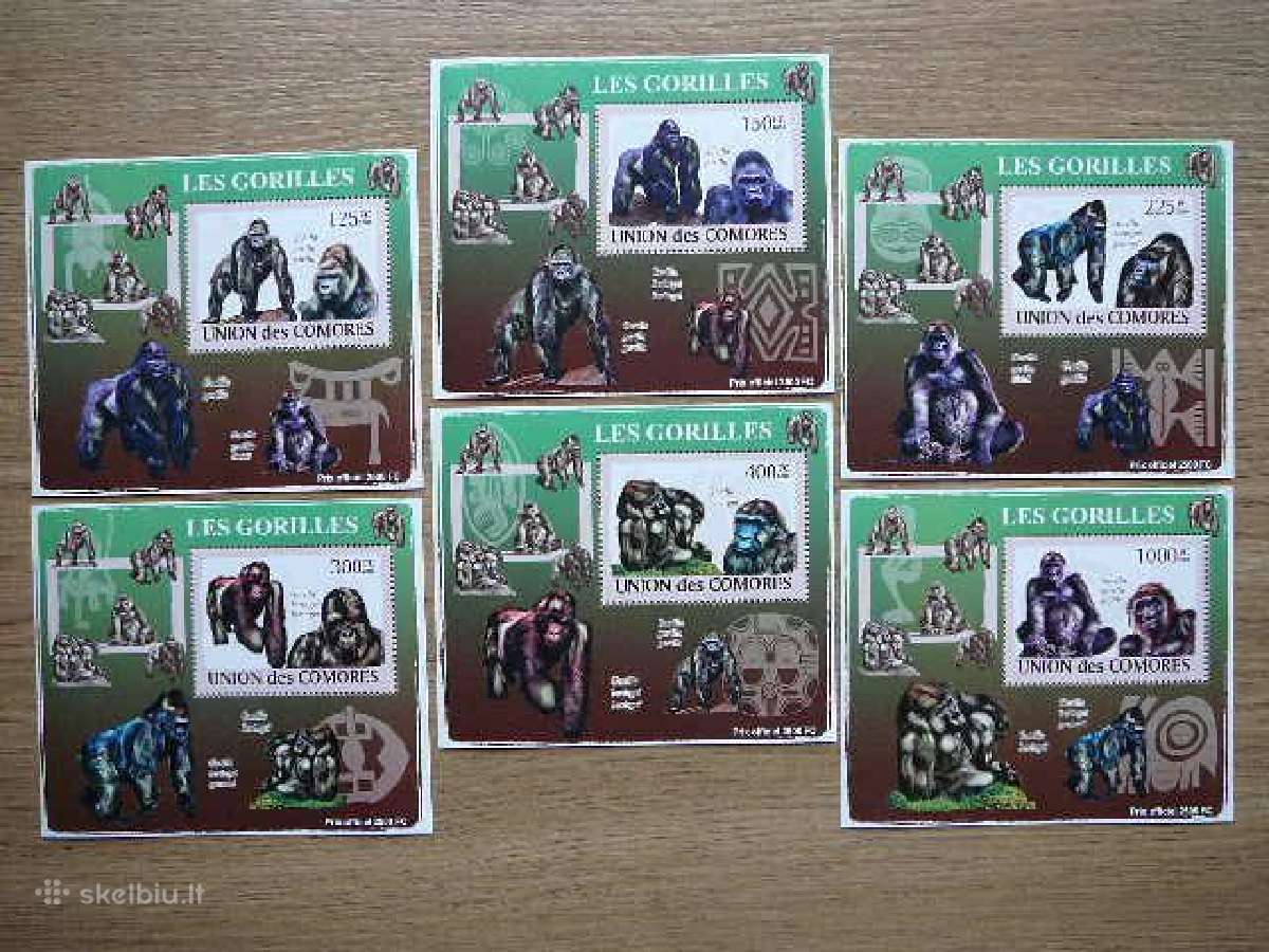 Bezdziones Gorilos Komorai 2009 Mnh cmr421