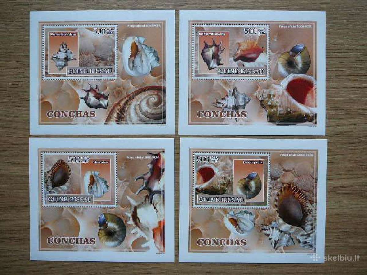 Kriaukles Gv. Bisau 2007 svarus gbs127