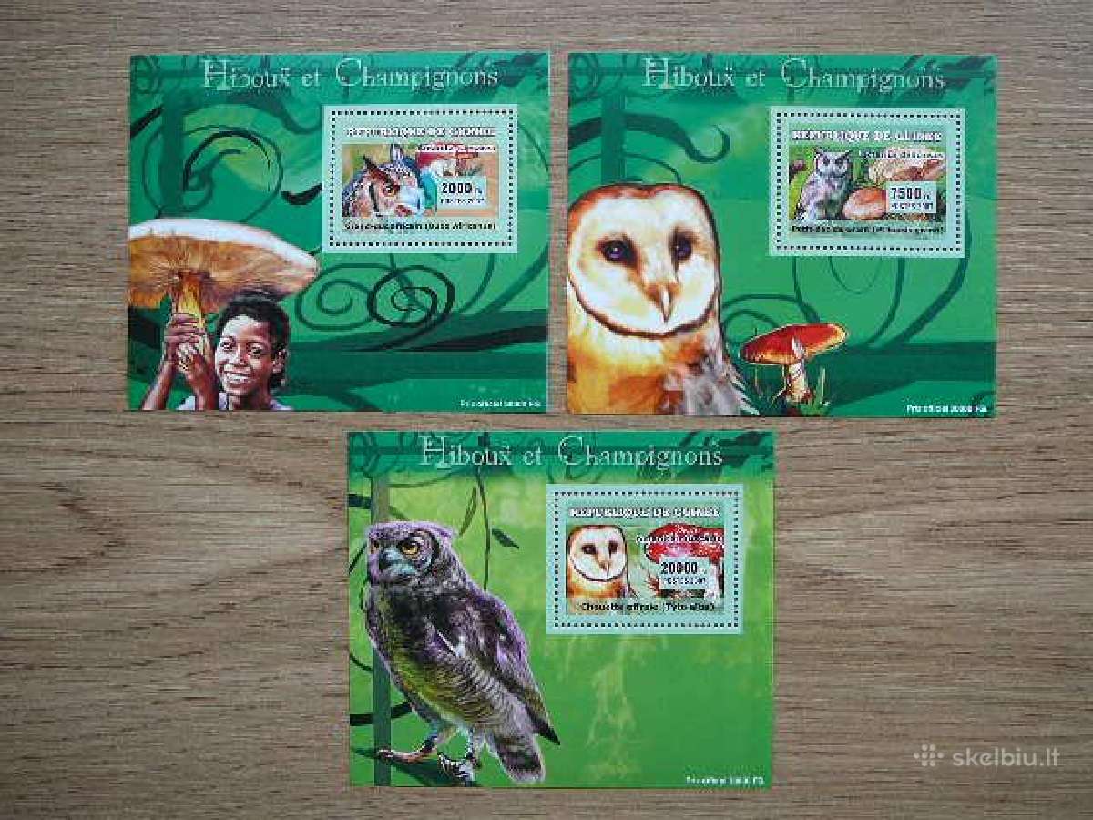 Peledos Pauksciai Grybai Gvineja 2007 Mnh gvn828