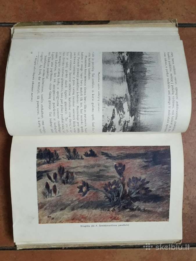 Tadas Ivanauskas "Gamtininko užrašai" 1955 metai - nuotraukos Nr. 10