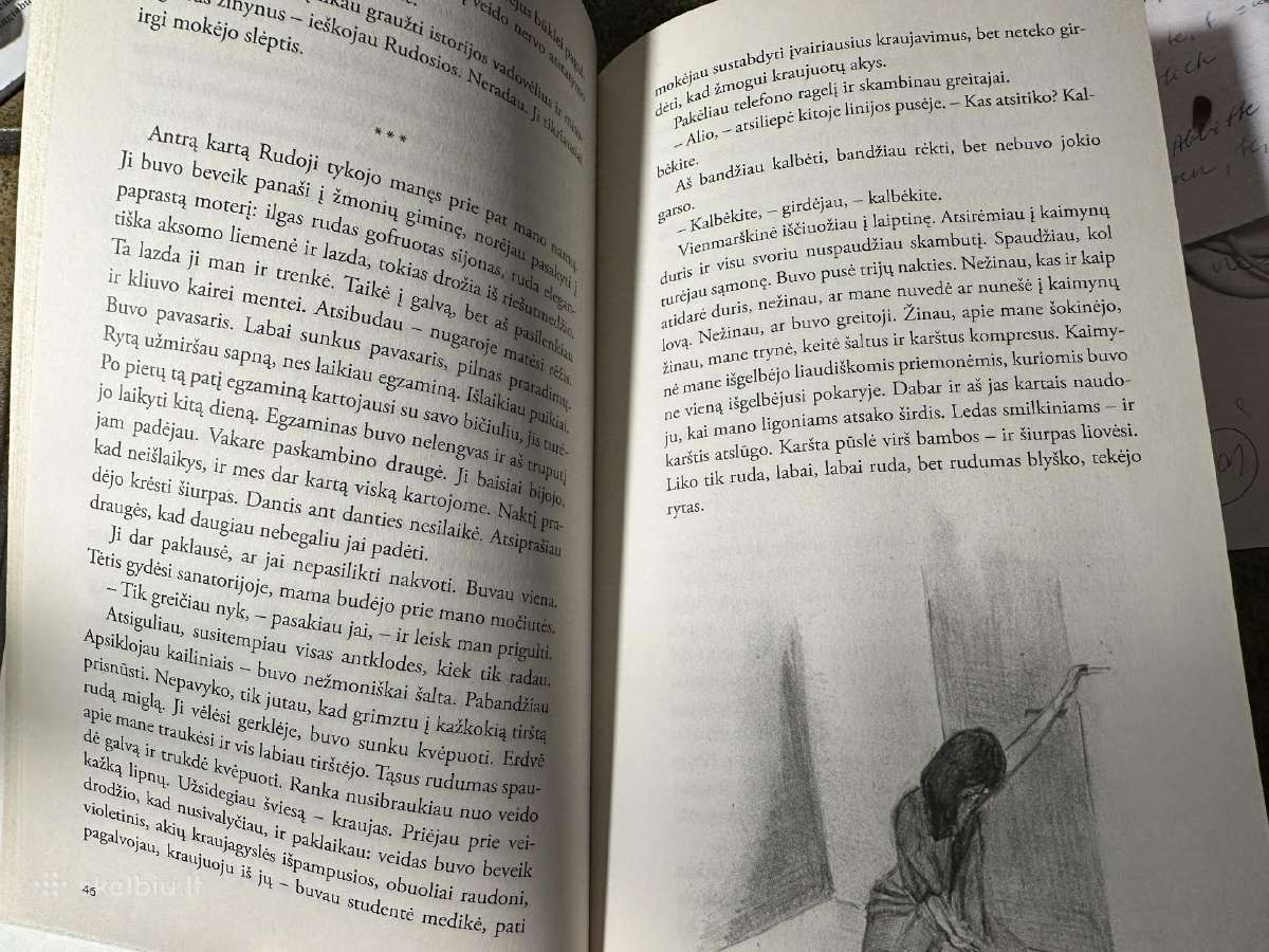 L Bloznelyte Plesniene knyga Menulis ir uzuolaida - nuotraukos Nr. 3