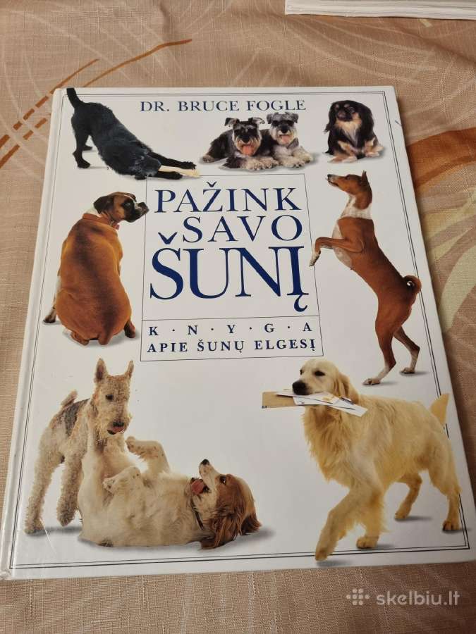 Pažink savo šunį