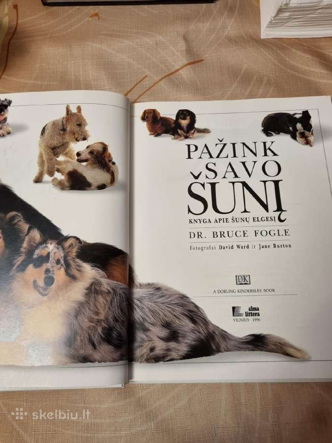 Pažink savo šunį - nuotraukos Nr. 2