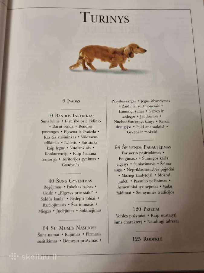 Pažink savo šunį - nuotraukos Nr. 3