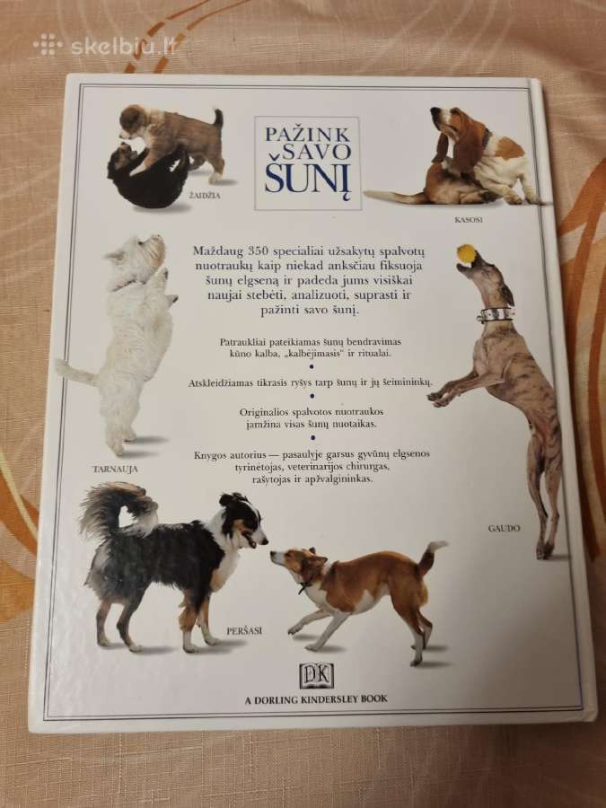 Pažink savo šunį - nuotraukos Nr. 7