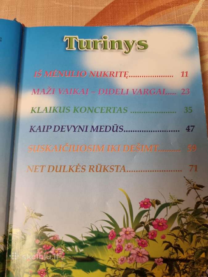 Vaikučiams pabiručiams - nuotraukos Nr. 4