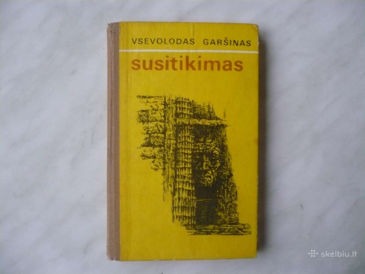 V. Garšinas - Susitikimas