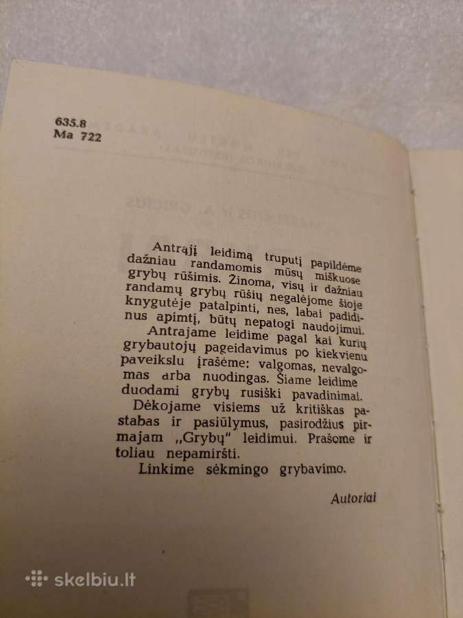 Grybai - nuotraukos Nr. 3